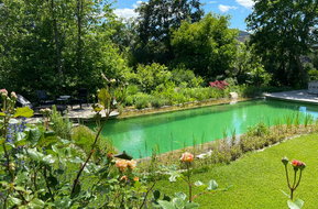 Teichbau von Gartenlöwe