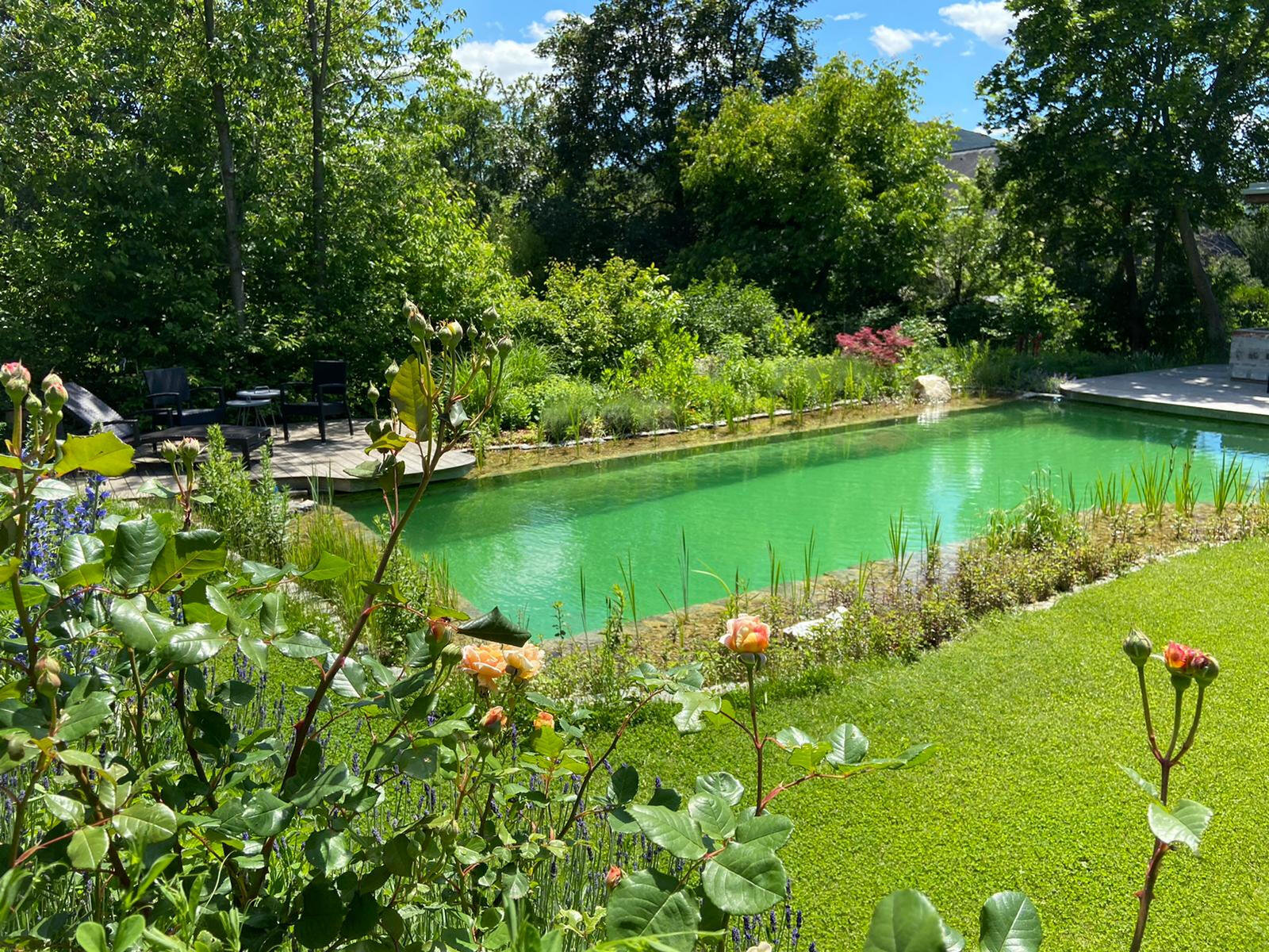 Teich von der Firma Gartenlöwe